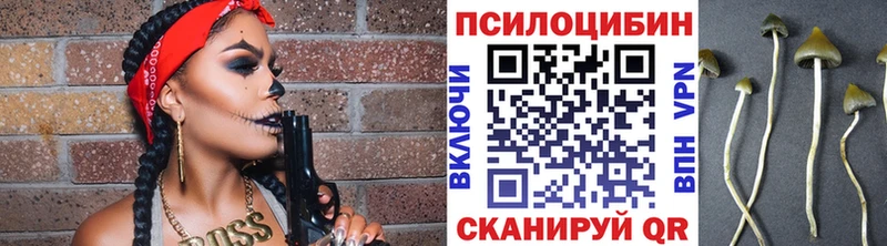 Псилоцибиновые грибы мицелий  Лаишево 